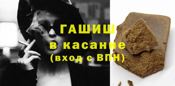 гидра Няндома