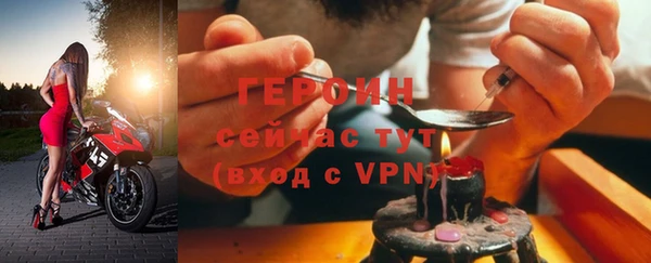 гидра Няндома