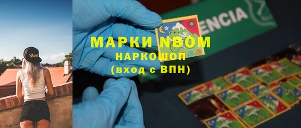 гидра Няндома