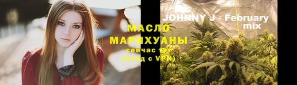 гидра Няндома