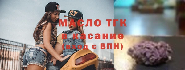 гидра Няндома
