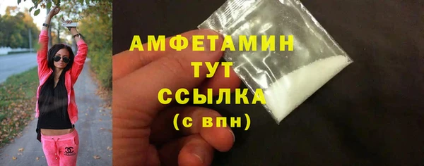 гидра Няндома