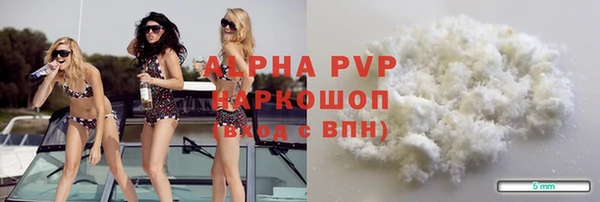 гидра Няндома