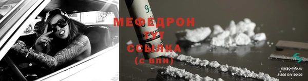 гидра Няндома