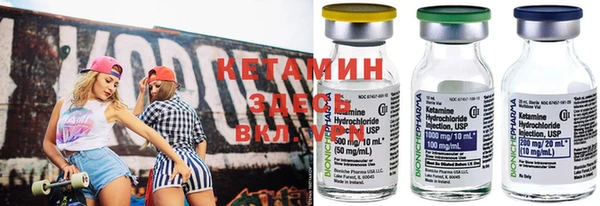 гидра Няндома