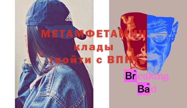 гидра Няндома