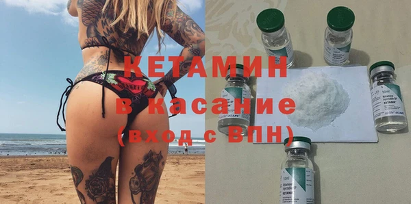 гидра Няндома