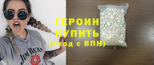 гидра Няндома